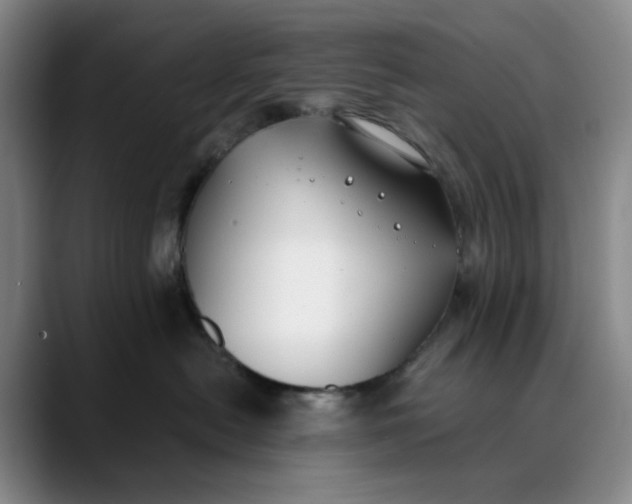 X0000088680478200706141358