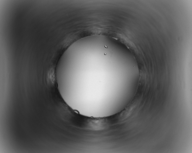 X0000088680479200706141358
