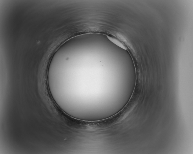 X0000088680481200706141357