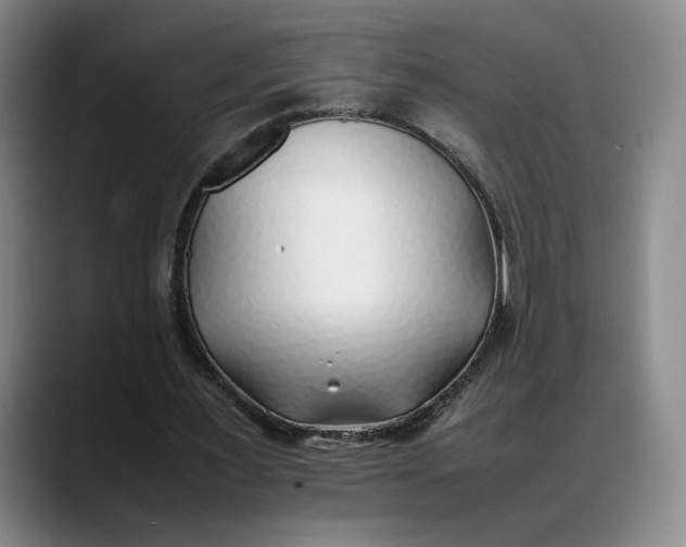 X0000088680483200706141357
