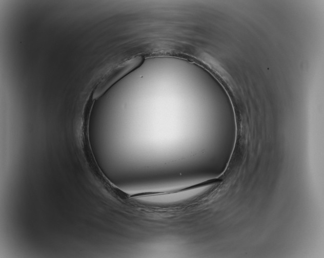 X0000088680485200706141357