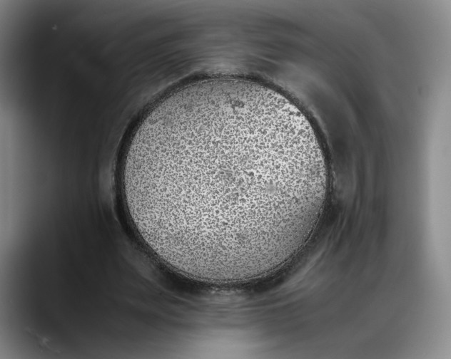 X0000088680487200706141357