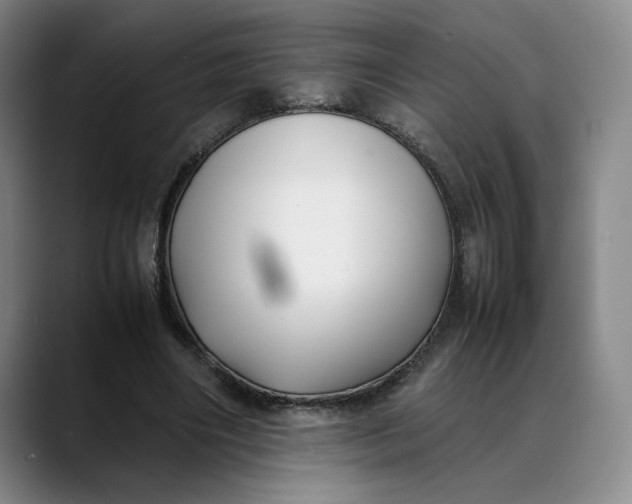 X0000088680490200706141357