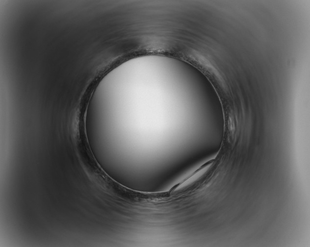 X0000088680492200706141357