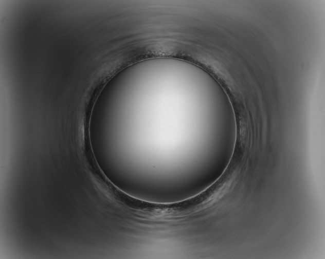 X0000088680493200706141357