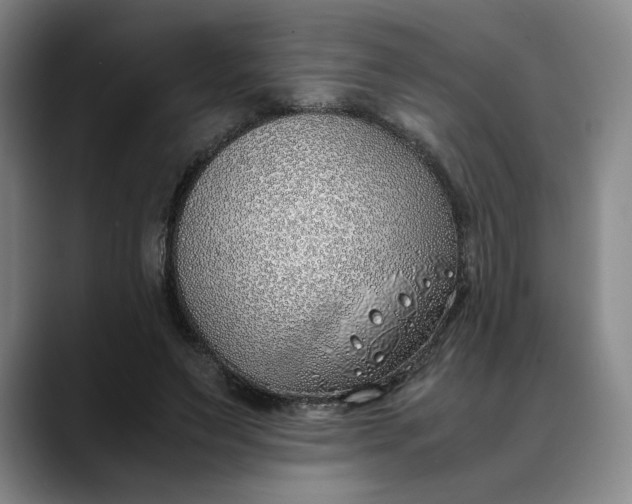 X0000088680495200706141357