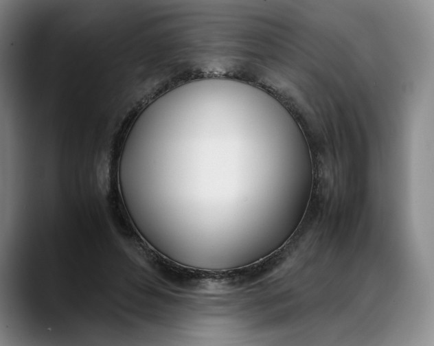 X0000088680496200706141357