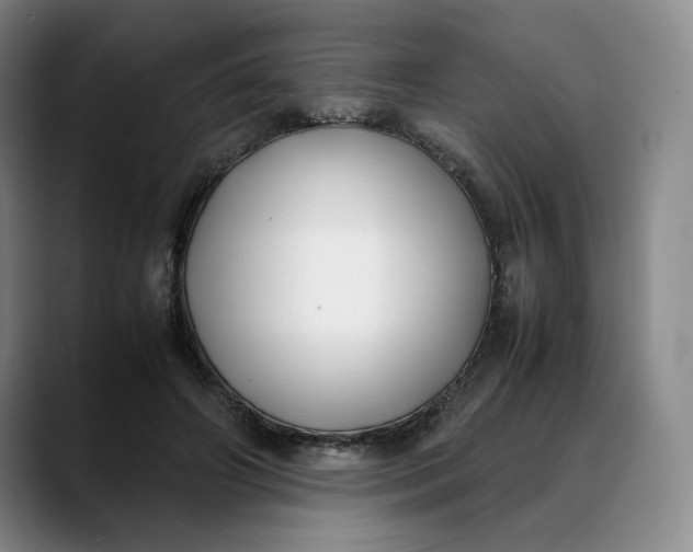 X0000088680498200706141357