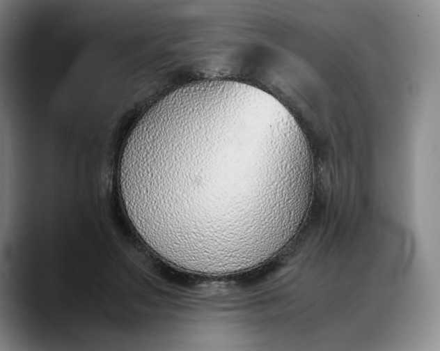 X0000088680499200706141357