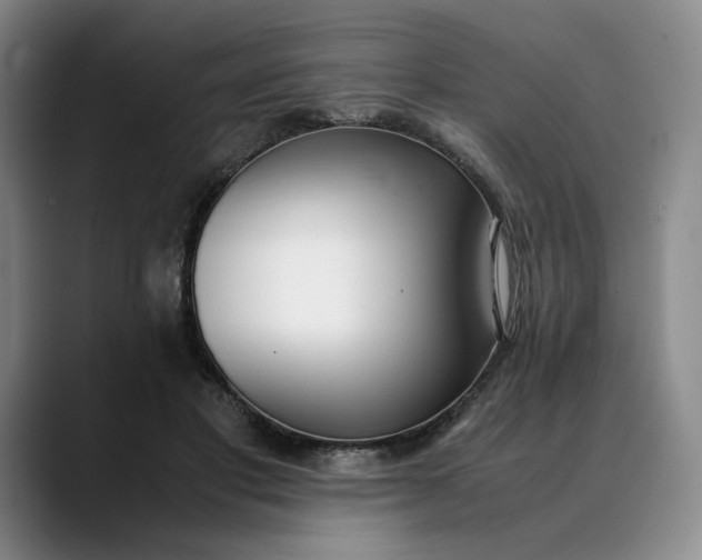 X0000088680501200706141357