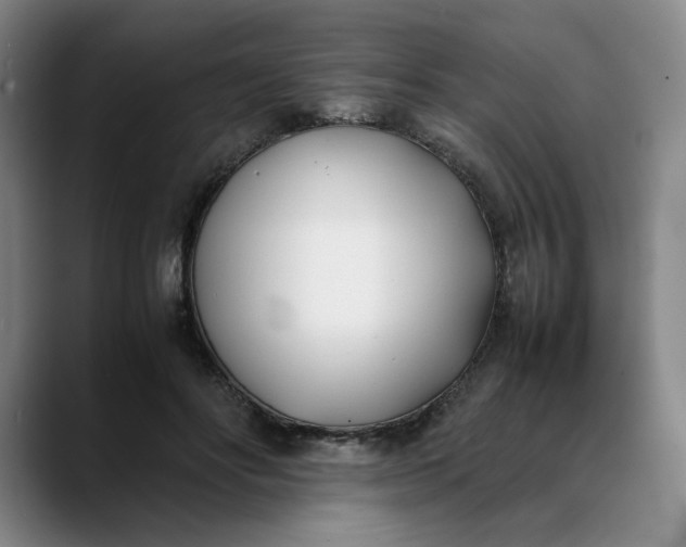 X0000088680502200706141357