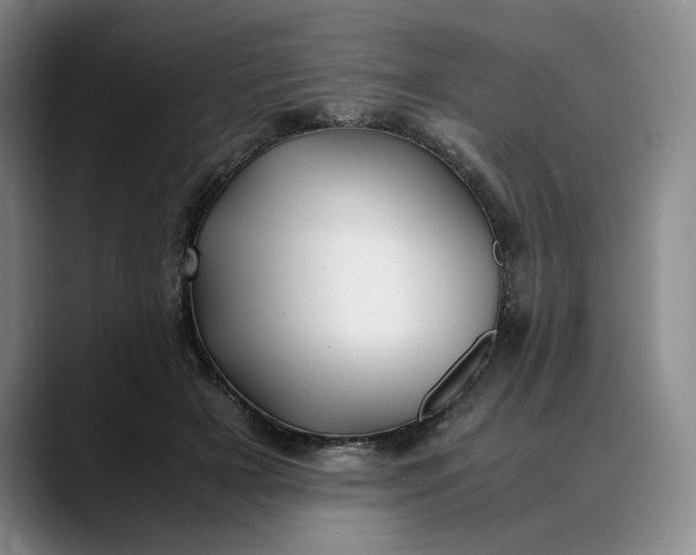X0000088680505200706141357