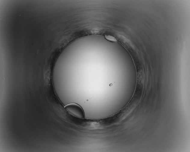 X0000088680509200706141357
