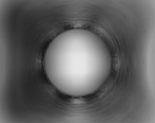 X0000088680510200706141357