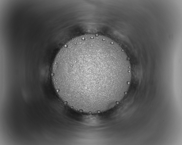 X0000088680511200706141357