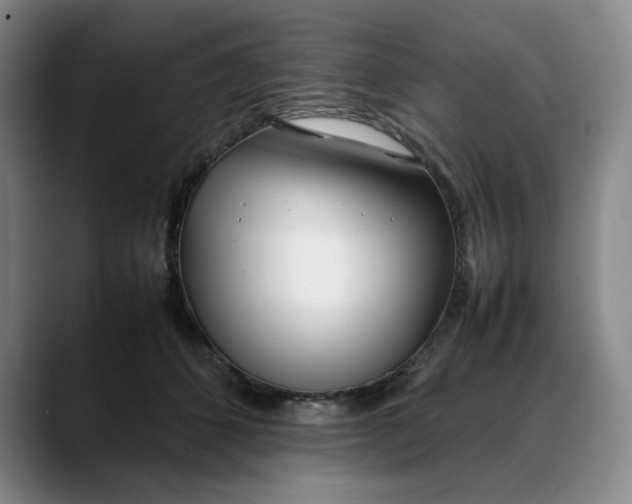 X0000088680512200706141357