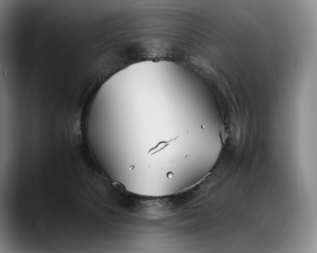 X0000088680516200706141357