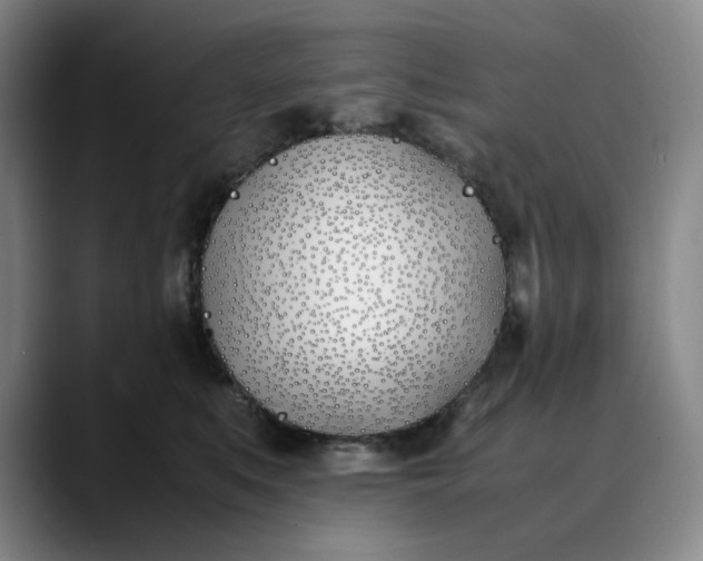 X0000088680519200706141357