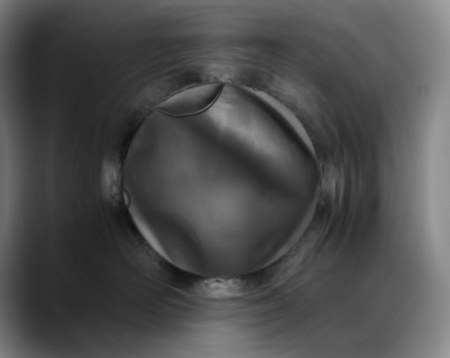 X0000088680526200706141356
