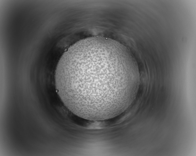X0000088680527200706141356