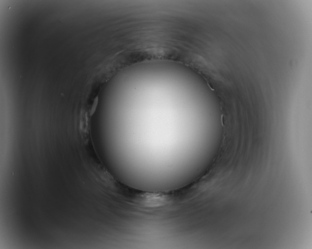 X0000088680528200706141356