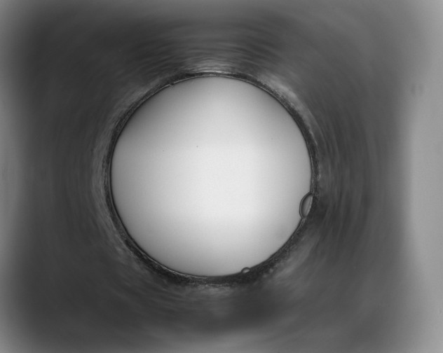 X0000088680529200706141356