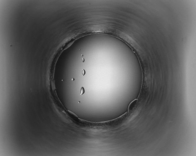 X0000088680530200706141356