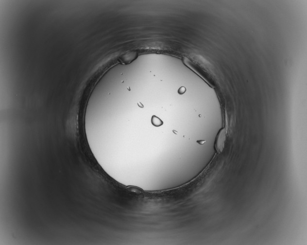 X0000088680531200706141356