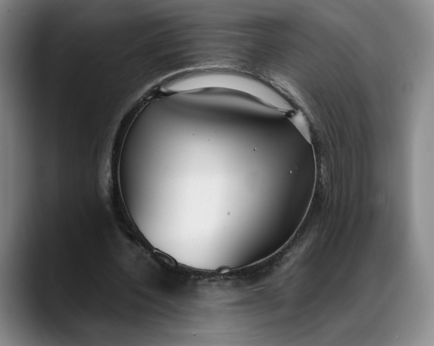 X0000088680532200706141356
