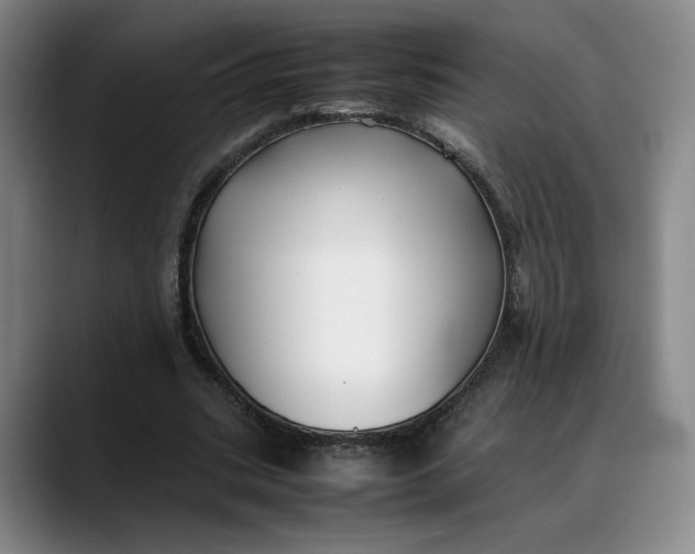 X0000088680535200706141356