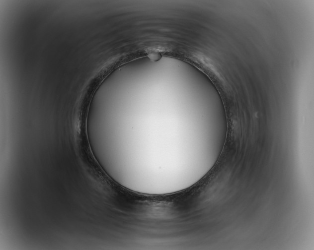 X0000088680539200706141356