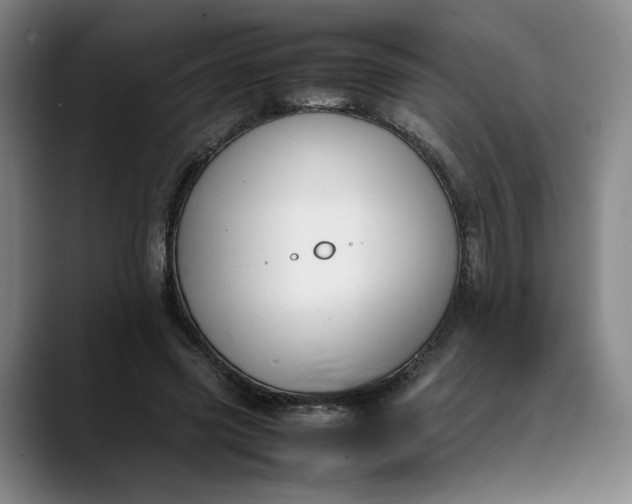 X0000088680541200706141356