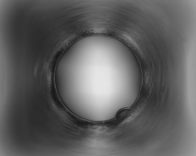 X0000088680542200706141356