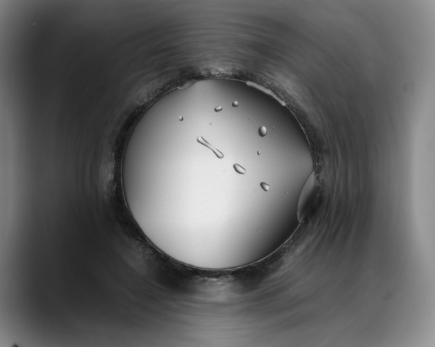 X0000088680548200706141356