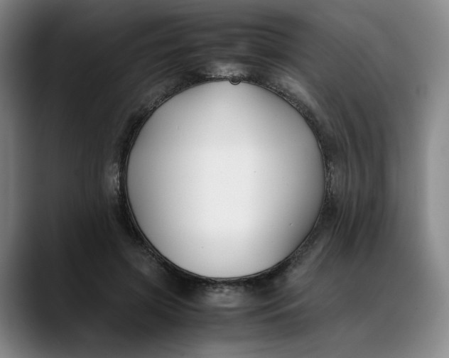 X0000088680549200706141356