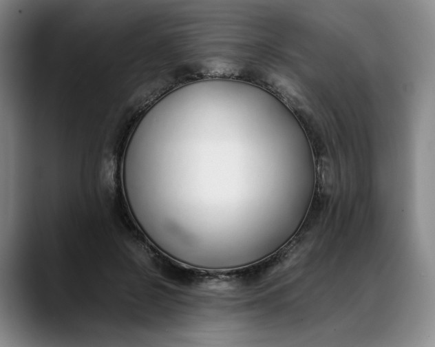 X0000088680550200706141356
