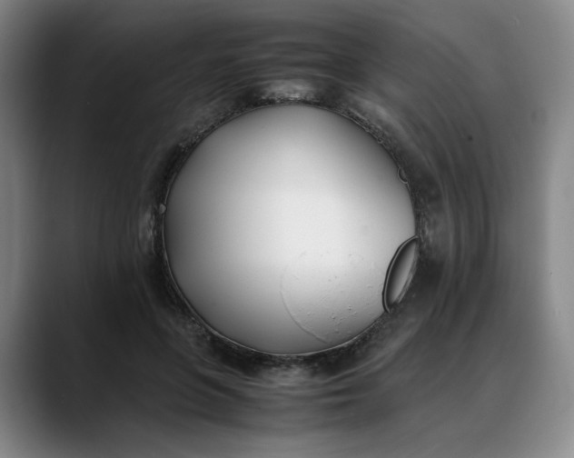 X0000088680551200706141356