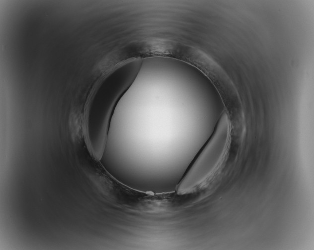X0000088680552200706141356