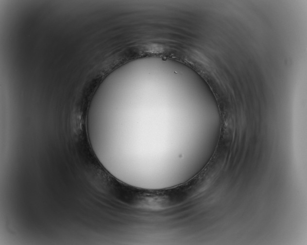 X0000088680555200706141356