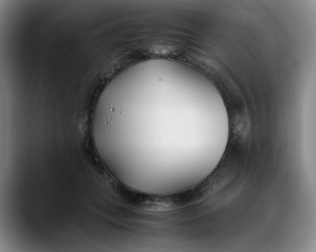 X0000088680559200706141356