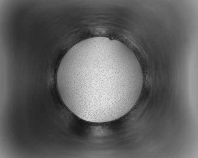 X0000088680561200706141356