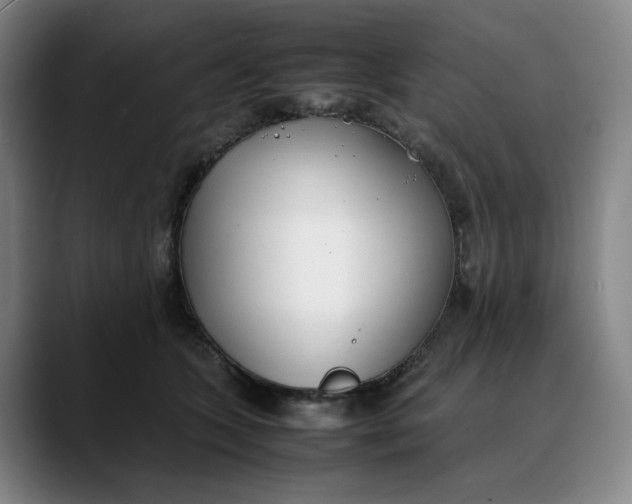 X0000088680563200706141356