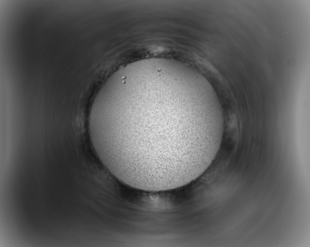 X0000088680565200706141356