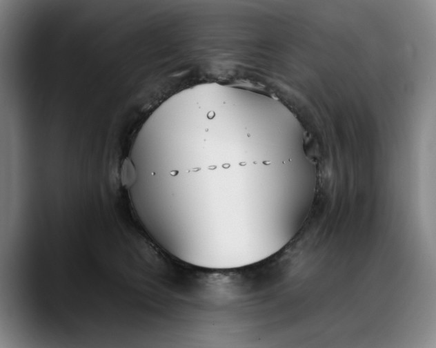 X0000088680566200706141356