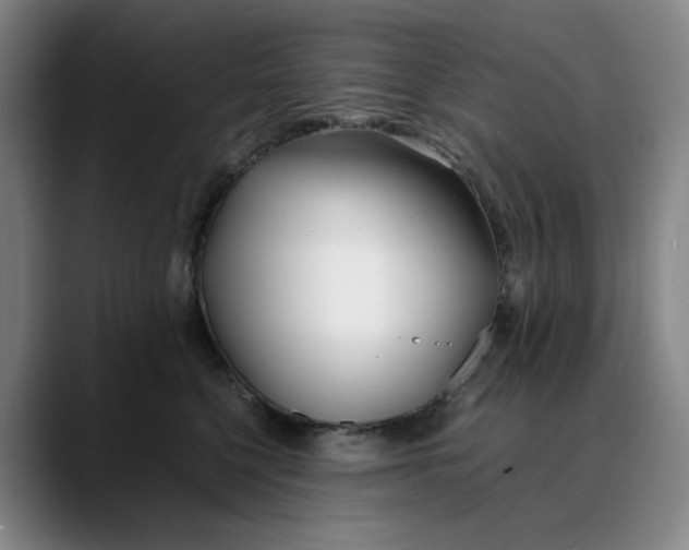 X0000088680568200706141356
