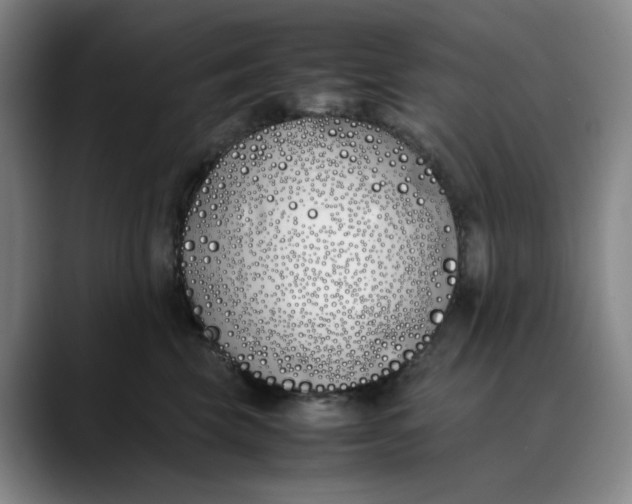 X0000088680569200706141356