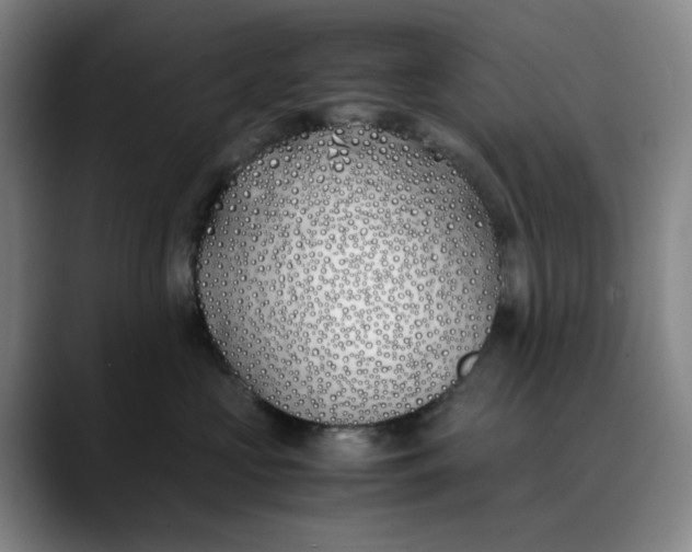 X0000088680573200706141356