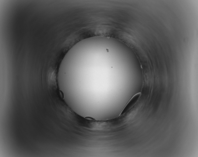 X0000088680575200706141356