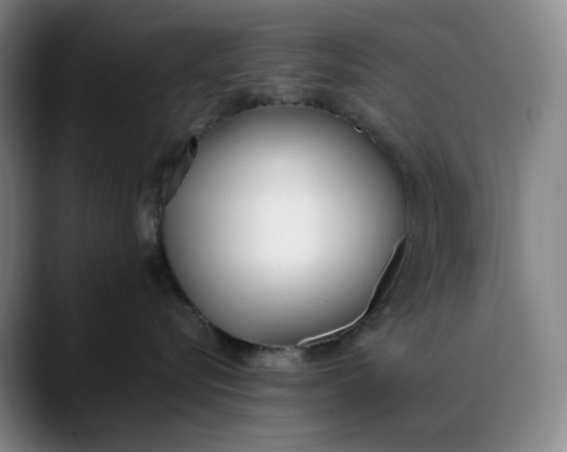 X0000088680576200706141356