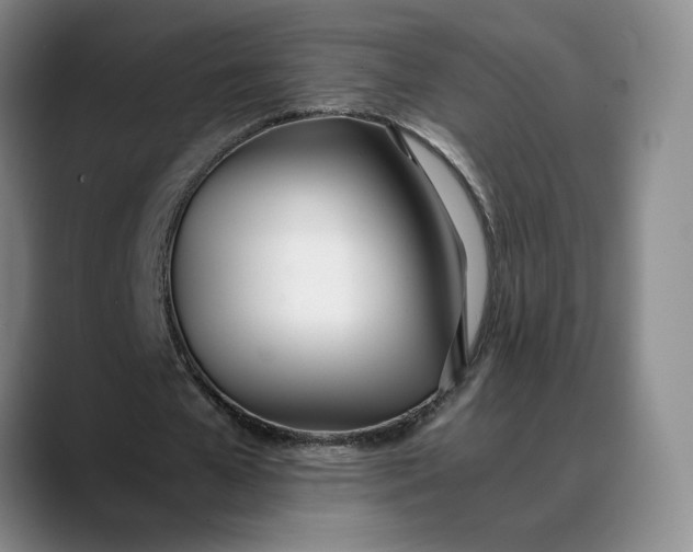 X0000088680577200706141356
